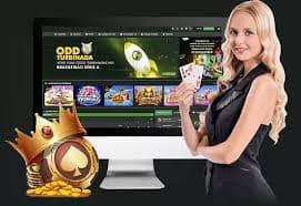 pkpk559 VIP Bonus Cashback ငွေသွင်းဘောနပ်စ်